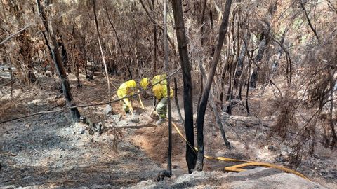 Una brigada forestal interviene en las labores de extinci�n del incendio declarado en agosto en Tenerife