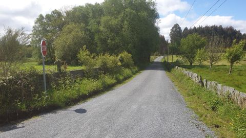 Pista de la parroquia de Romn, una de las zonas donde ha actuado ltimamente el Concello