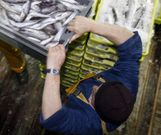 Trabajar en el mar entra�a innumerables riesgos. 
