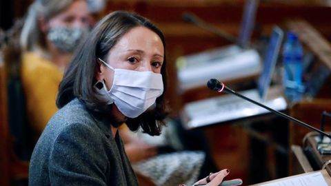 La consejera de Derechos Sociales y Bienestar, Melania �lvarez,