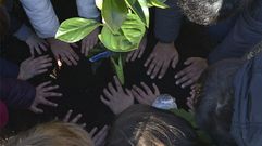 Ecosistema La Laboral