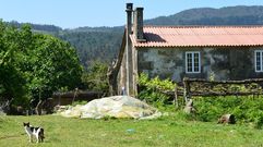 LA MUERTE M�S RECIENTE. En este inmueble de Mora�a ya hubo un doble crimen y un ahogamiento, antes del homicidio del d�a 19