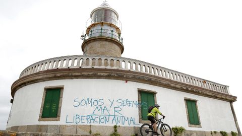 Pintadas en el faro de Corrubedo, el ao pasado