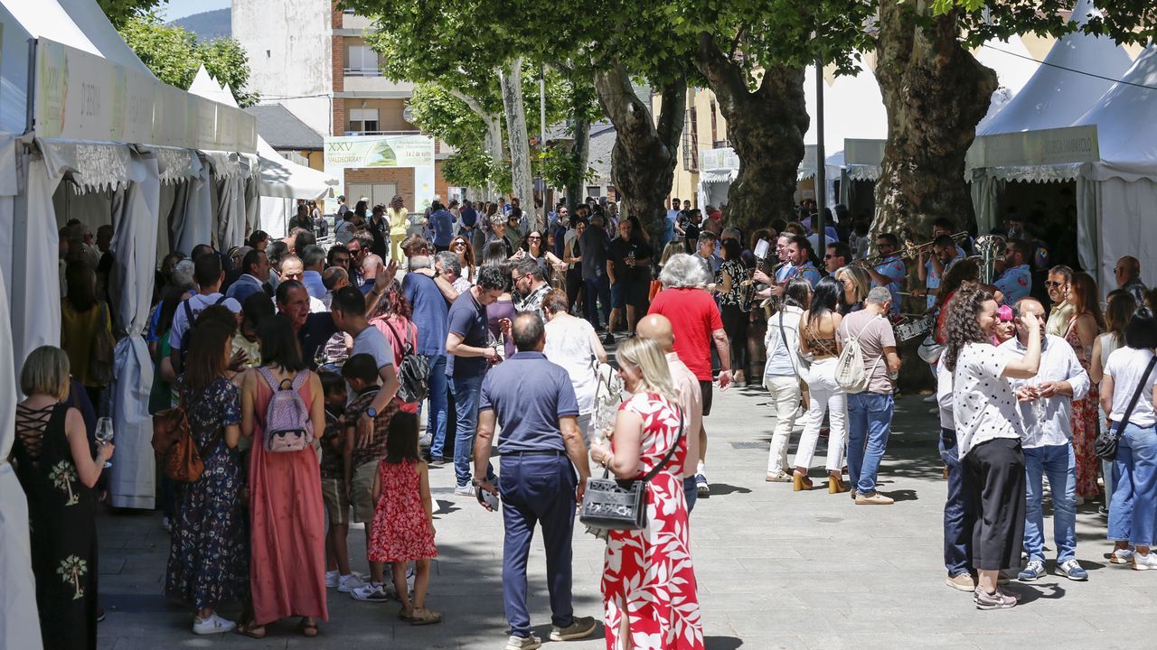 La Feria del Vino de Valdeorras 2025 celebrará su edición más ...