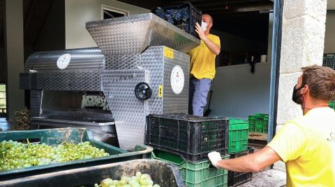 Descarga de uvas en Adega Algueira, una de las m�s madrugadoras este a�o