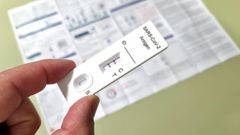 En el �rea sanitaria se detectaron 325 nuevos positivos en 24 horas.