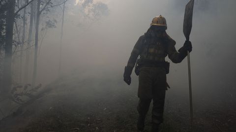 Medio Rural ha contabilizado de momento 1.200 hectreas quemadas