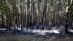 Terreno quemado cerca del ncleo de Vilar, en Vilaboa