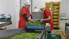 Visita de Mara Jos Gmez, Jos Balseiros y Agustn Reguera a la cooperativa Horsal en Vilario