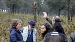 Luisa Pi�eiro, directora xeral de Planificaci�n e Ordenaci�n Forestal, visita una zona afectada por la banda marr�n en los pinos