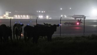 Un dron estadounidense MQ-9 Reaper ?una aeronave militar no tripulada conocida como �dron asesino�? en la Base A�rea de Lajes, Praia da Vit�ria, en la isla Terceira, en Azores el pasado mes de abril. 