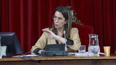 M�ndez, durante un momento del pleno de Lugo