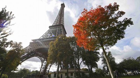 Colores del otoo bajo la torre Eiffel.