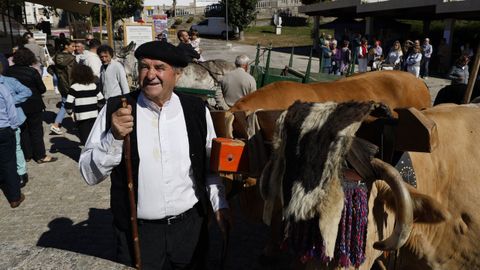 Festa da Pataca en Vilar de Barrio.