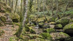 Las fotos de la ruta de los molinos del r�o Edo