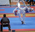 El pabell�n municipal acoger� todas las especialidades. 