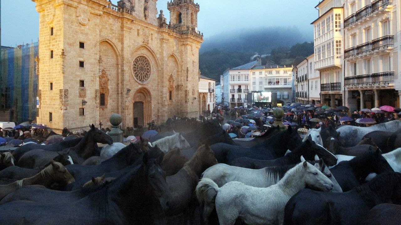 La guía completa de As San Lucas: programa y nuevos servicios este año, cumpliendo 868 años de vida