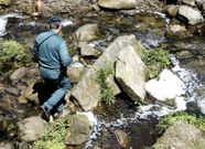 El Pintos ha sido v�ctima de varios vertidos