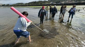 Una ma�ana de turismo marisquero en Pontevedra