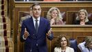El presidente del Goberno, Pedro Sánchez, interviene durante una sesión de control al Goberno.