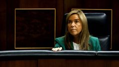 El Gobierno deja sola a Ana Mato en sus intervenciones sobre el �bola