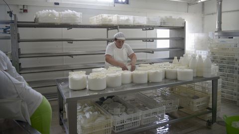 Quesería Don Crisanto, en Vilalba, galardonada con el premio Alimentos de España en el apartado de queso madurado de vaca