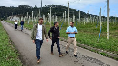  El consejero de Medio Rural y Cohesi�n Territorial, Alejandro Calvo,  de visita en las instalaciones del Grupo ASP-Kiwinatur en Pravia