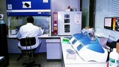 La facultad de Veterinaria, en 1998