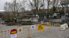 Poda de �rboles en el entorno de la plaza de Abastos de Ourense