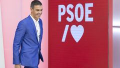 Pedro S�nchez, secretario general del PSOE, a su llegada a una reuni�n de la comisi�n ejecutiva del partido.