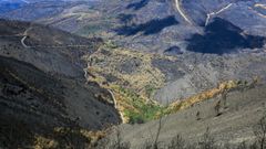 Efectos de los incendios forestales del pasado julio en el souto que rodea la aldea de Vilar, gravemente afectado por el fuego