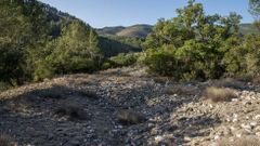 Entre Nogueira y Rairos por la ruta del oro