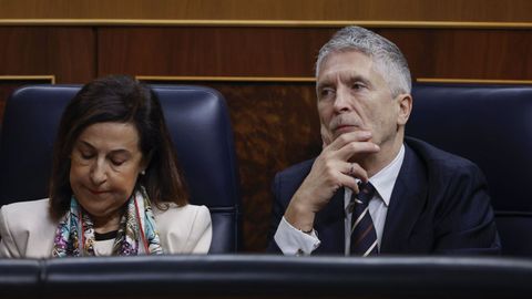 Los ministros Fernando Grande Marlaska (d) y Margarita Robles (i) durante la comparecencia del presidente del Gobierno, Pedro S�nchez ante el pleno del Congreso para hablar sobre la crisis ferroviaria tras los accidentes de Adamuz (C�rdoba) y Barcelona, y sobre la agenda internacional el pasado 11 de febrero.