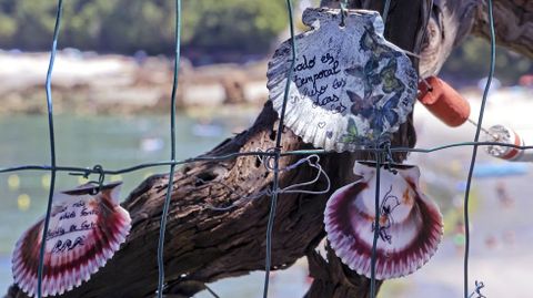 Playa de Aguete. Conchas de zamburias con inscripciones de loe turistas en O Rincn de Poty