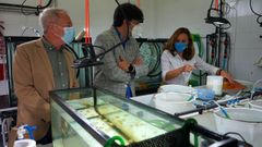 El concejal de Medio Ambiente y Movilidad del Ayuntamiento de Gij�n, Aurelio Mart�n; Borja S�nchez, consejero de Ciencia; y Susana Acle, responsable de investigaci�n del Acuario