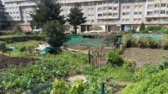 Leiras en A Coru�a�