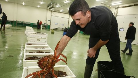 Subasta de marisco en la lonja de Burela