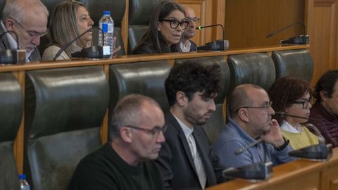 La socialista Mercedes Rosn (arriba) y Iago Lestegs (abajo, segundo por la izquierda) centraron el debate de las viviendas de uso turstico (VUT).