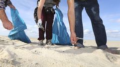 Una de las muchas limpiezas acometidas por Mar de F�bula 