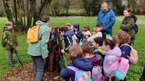 Los chiquillos construyeron un refugio para reptiles