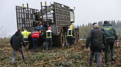 Muere un trabajador en una tala de eucaliptos en la aldea de Cibreiro, en Friol