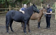 Luis Fern�ndez y Rosemeri Manke, junto a los caballos del nuevo centro equino. 