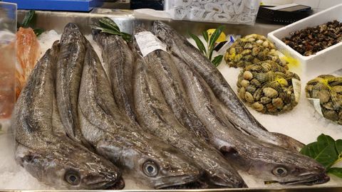 Merluzas frescas capturadas en Gran Sol en una pescadera de Viveiro