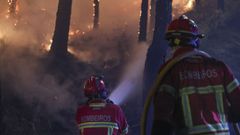Bomberos trabajando en un incendio forestal en Adurao