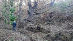 El fuego destruye el souto de Frox�n, pero la Festa da Pisa da Casta�a do Courel se mantiene