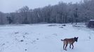Nieve en los montes de A Lama