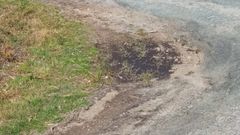 Los vecinos solicitan que se reparen los baches y se limpien las cunetas.