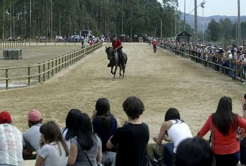 Una prueba de Equiouro, de 2012, en la pista de andadura.