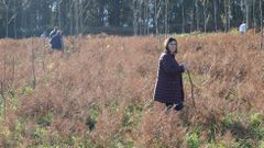 Ampl�an el radio de las batidas para encontrar al anciano desaparecido en Carballo