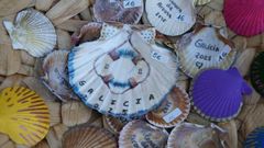El comercio de Vilanova sale a la calle en la Festa do Mexilln e o Berberecho